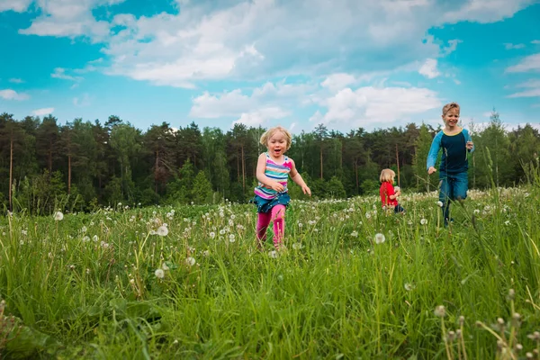 Niños felices corren y juegan en la naturaleza de verano, hermano y hermanas se divierten —  Fotos de Stock