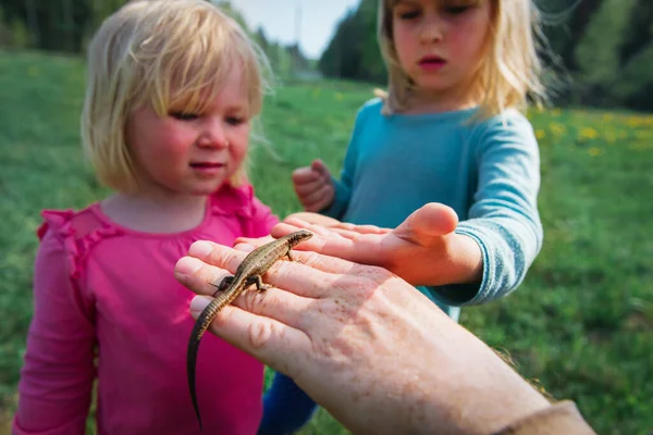 Barn som lär sig - barn som tittar på och utforskar ödla i naturen — Stockfoto