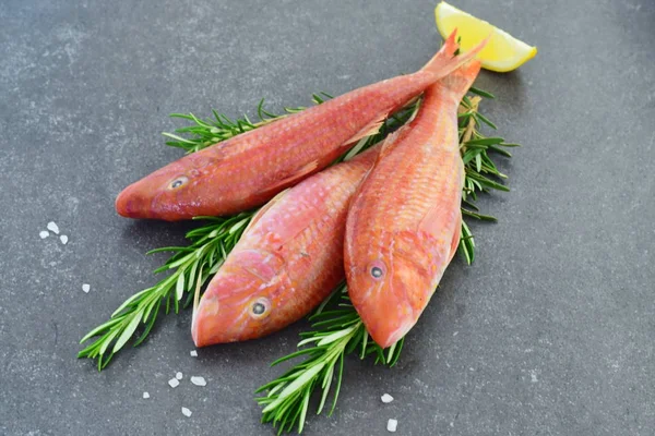 Raw red mullet on a grey abstract background with lemon and fresh rosemary. Space for text — Stock Photo, Image