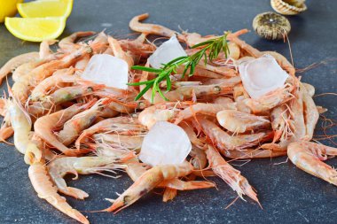 Ham yerel shrimpswith buz gri bir arka plan üzerinde