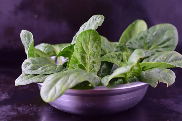 Fresh spinach leaves in a metal bowl on a dark abstract background. Healthy concept — Stock Photo, Image