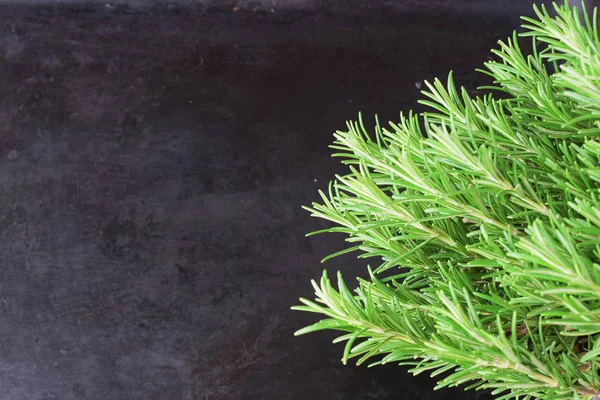 Dark abstract background with a bunch of fresh rosemary aside. — Stock Photo, Image