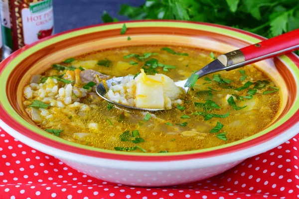 Домашний рисовый суп со свининой и картошкой. Здоровое питание. Концепция обеда . — стоковое фото