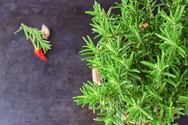 Biberiye grup ile koyu arka plan. Seçici odak.