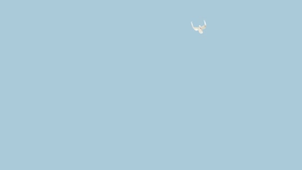 Fun CG oiseau volant vers le bas vers la caméra avec Alpha mat 