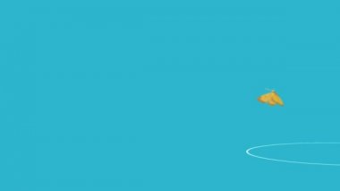 havuz mavi ekran uçan kelebek