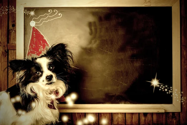 Funny dog Christmas greeting cards. Copy space. — Stock Photo, Image