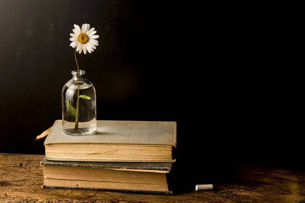 Vieux livres et marguerite dans une bouteille en verre — Photo