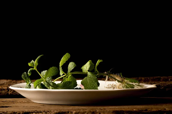 Fresh mint plant black background. — Stock Photo, Image