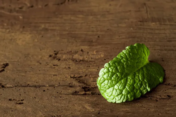 Fresh mint, close up photo. — Stock Photo, Image