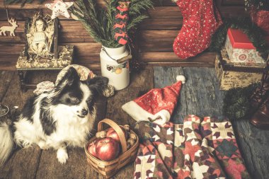 Bebek İsa ve şirin evde beslenen hayvan Noel kartı