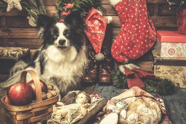 赤ん坊のイエスとかわいい犬クリスマス カード — ストック写真