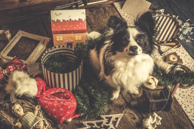 Yılbaşı kartları, yaramaz köpek yavrusu köpek