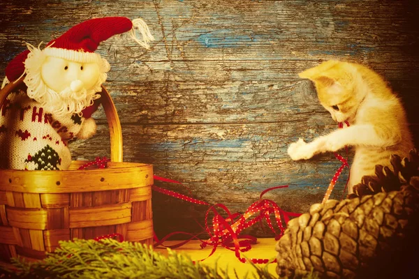 Weihnachtskatze Grußkarte — Stockfoto