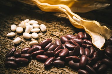 Kuru fasulye arka plan