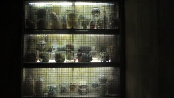 衣柜在实验室的一个疯狂的研究员 吸引力 — 图库视频影像