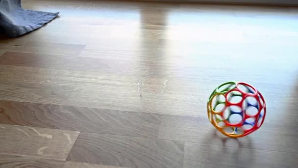 赤ちゃん 子供やペットのためのカラフルなおもちゃのプラスチックボールは スローモーションで木製のリビングルームの床の周りに回転します ボールは床の上を回転して停止する ブライアン ホルム ニールセンのストック映像 — ストック動画