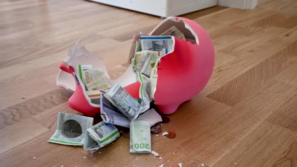 Footage Person Smashing Big Piggy Bank Piggy Bank Smashed Pieces — Stock Video