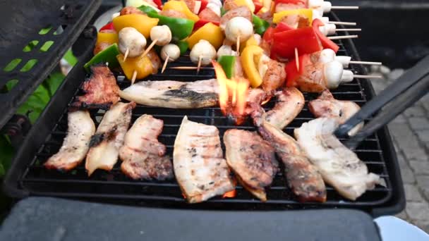 Pork Pieces Garfish Chicken Skewers Sizzling Bbq Its Nice Spring — Stock Video