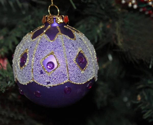 Ornamento roxo brilhante pendurado em uma árvore de Natal — Fotografia de Stock
