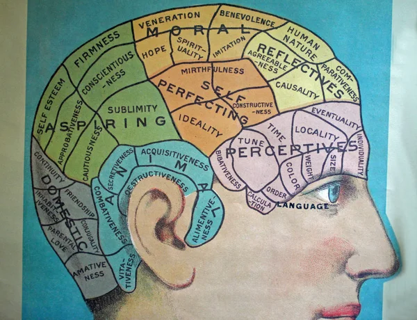 Représentation vintage du cerveau et de ses régions — Photo