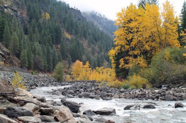 Sonbahar, Leavenworth, Washington nehirde saçağı