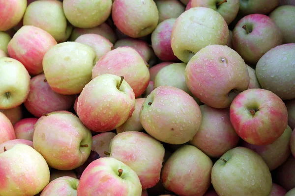 Honeycrisp Apples For Sale at the Farmers Market