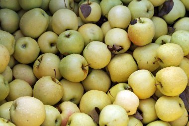 Çiftçi Market Satılık sarı elmalar