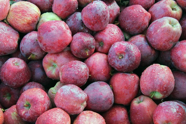 Красные яблоки для продажи на рынке фермеров — стоковое фото