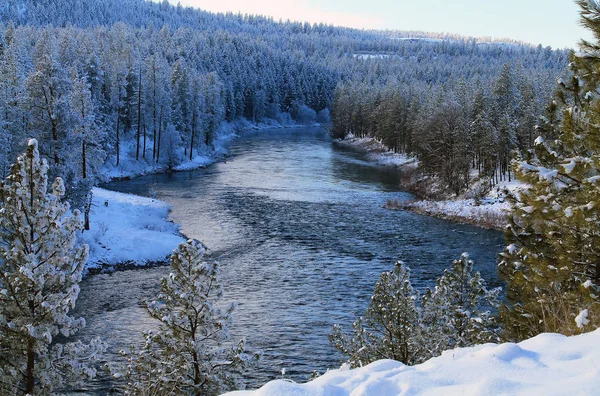 Río Spokane fluye a través de un bosque nevado — Foto de Stock