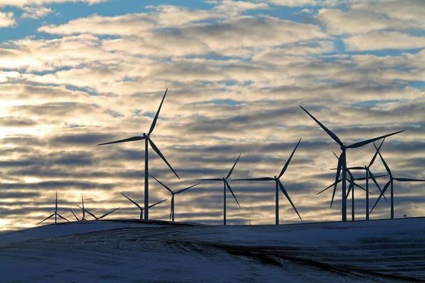 Wind Turbines at Sunrise in Winter — Stock Photo, Image