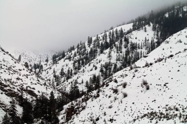 Kar kaplı dağ Vadisi