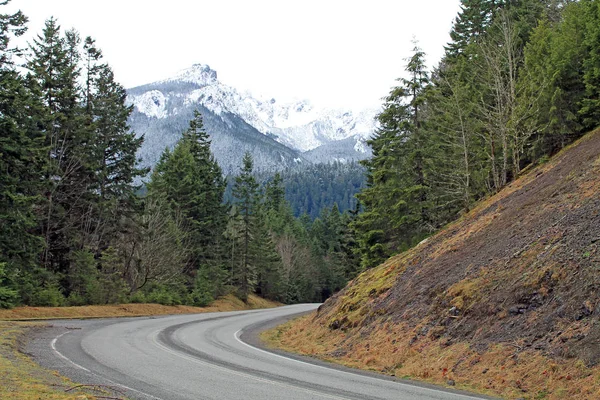 Autobahn durch den Wald führt zu schneebedeckten Bergen — Stockfoto
