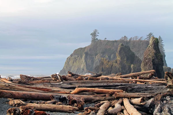 Driftwood naplók, amely egy strand Seastacks a háttérben — Stock Fotó