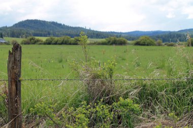 Yeşil alan ve tepeler ötesinde bir dikenli tel çit