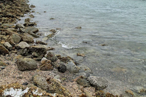 Rocks on a Seashore Encruised with Barnacles — стоковое фото