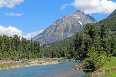 Evergreen ormanı ile dağlarda akan akan nehir