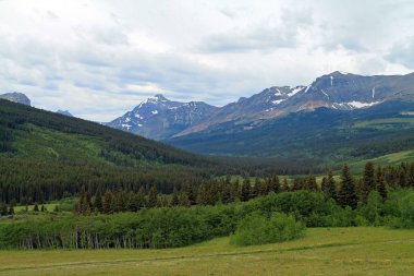 Evergreen orman ve dağlar buzul Milli Parkı'nda