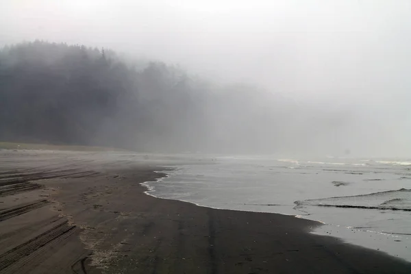 Foggy Day na praia — Fotografia de Stock