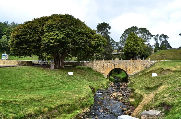 Boyaca alan. Kolombiya.