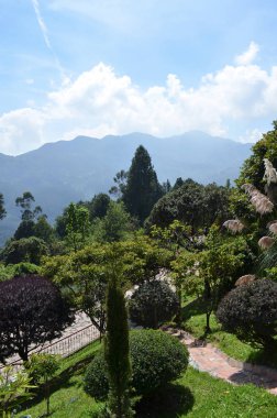 Monserrate bahçelerinde