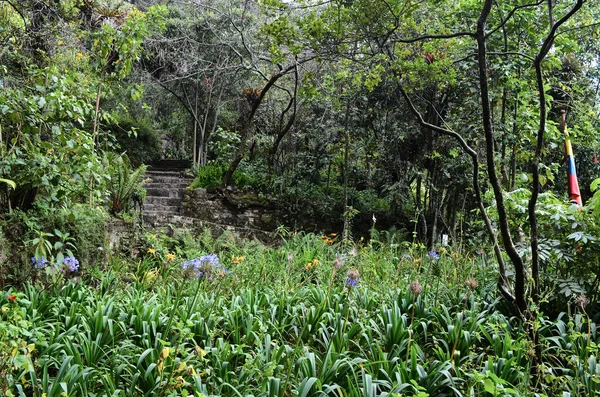 Jardim da Quinta de Bolívar — Fotografia de Stock