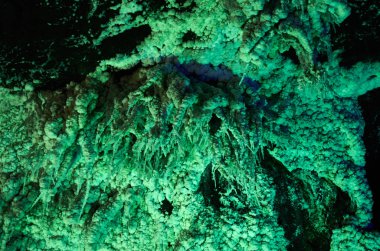 Nemocon madeni tuz oluşumları