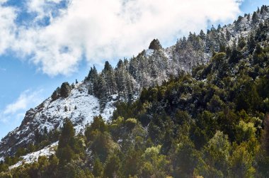 Hillside güzel ışık ve renkler ile