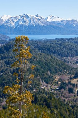 Campanario Hill üstten görüntülemek
