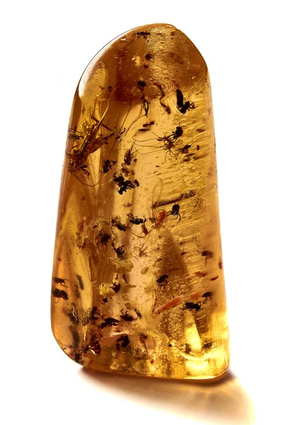 amber beyaz zemin üzerine izole parçası