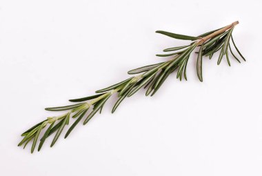 Rosemary, bitkisel ilaç ve pişirme madde için kokulu bitki.