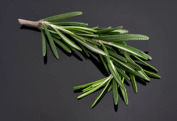 Rosmarin, Duftpflanze für Kräutermedizin und Kochzutat. — Stockfoto