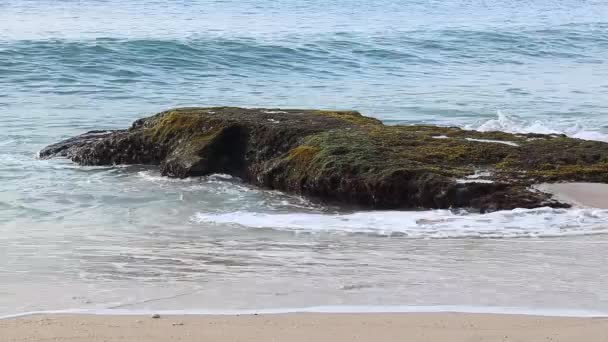 Indický oceán mocné vlny zřítilo na skalách na tropickém ostrově Bali, Indonésie. Nádherná pláž, pěkný výhled. Extrémní vlna zdrcující pobřeží. — Stock video