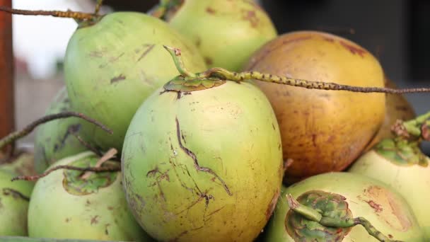 Fresh young coconut closeup near the fish market Jimbaran, Bali, Indonesia. Fundo de coco, 1080p, 50 fps, Full HD . — Vídeo de Stock